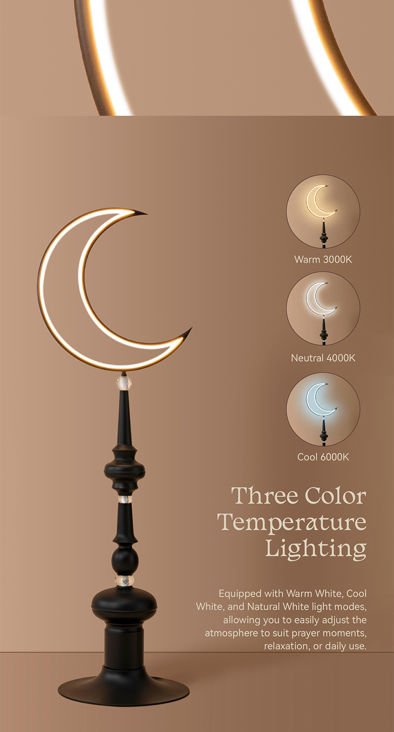 Hilal Noir Floor Lamp